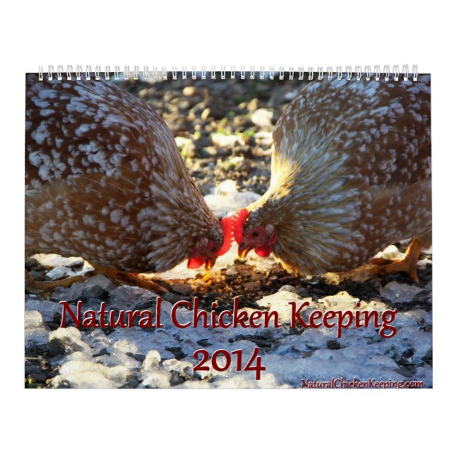 Galinha natural que mantem '14 o calendário (Capa)