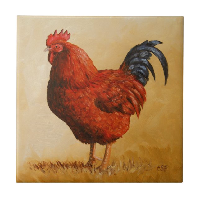 Galinha Rhode Island Red Rooster (Frente)