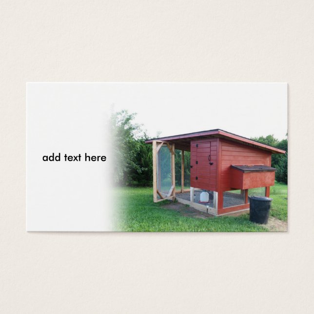 galinha vermelha (Frente)