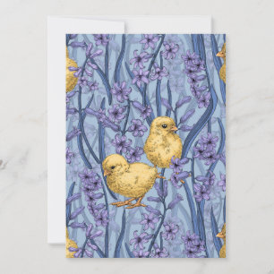 Galinhas e jacintos em azul-céu