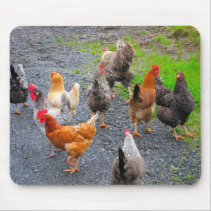 Galinhas Mousepad