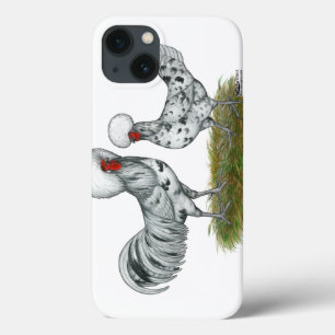 Galinhas Poloneses