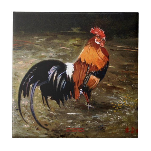 Gallo/Galo/Rooster (Frente)