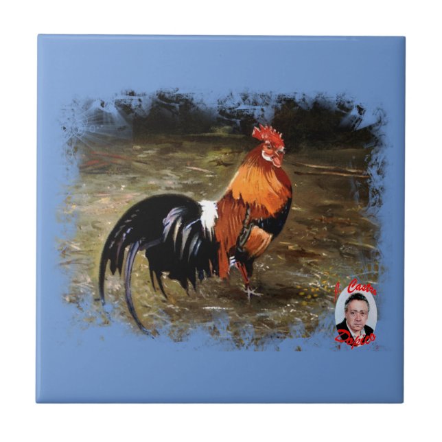 Gallo/Galo/Rooster (Frente)