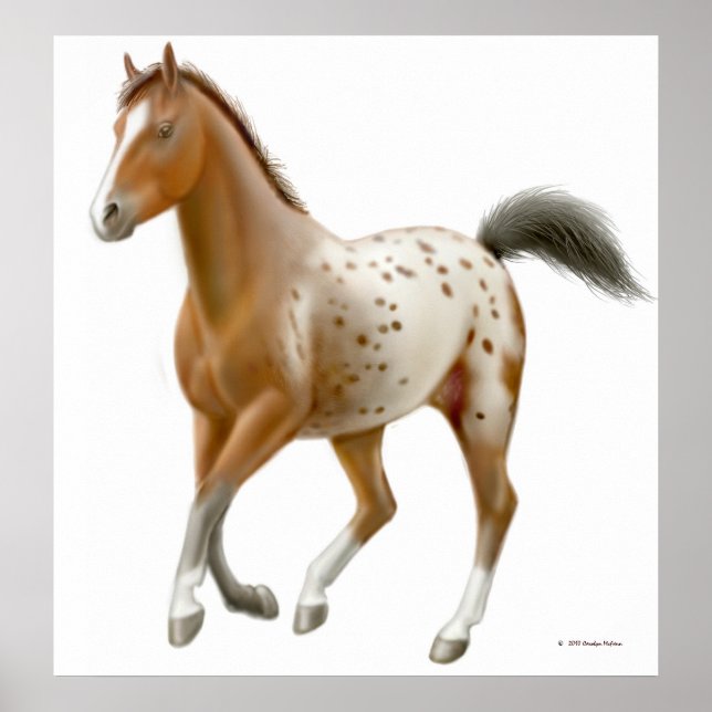 Galloping Appaloosa Impressão (Frente)