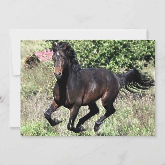 Galloping Chestnut Horse (Frente)