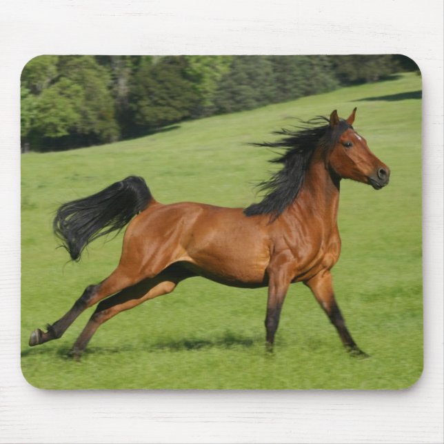 Galloping Horse Mousepad (Frente)