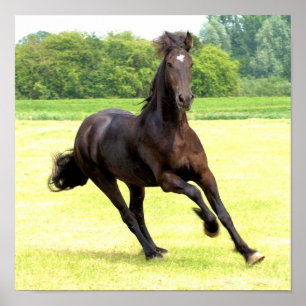 Galloping Horse Poster