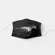 Galloping Pinto Horse e Smoke, ao estilo ocidental