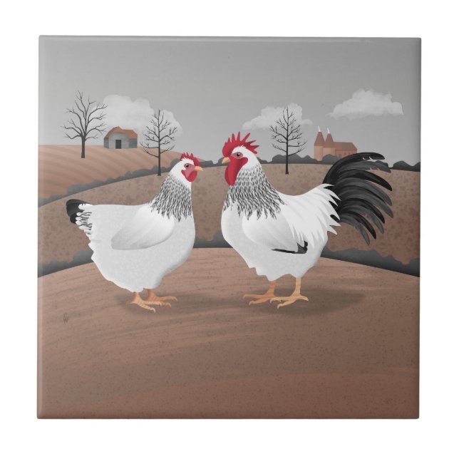 Galo e Galinha (Frente)