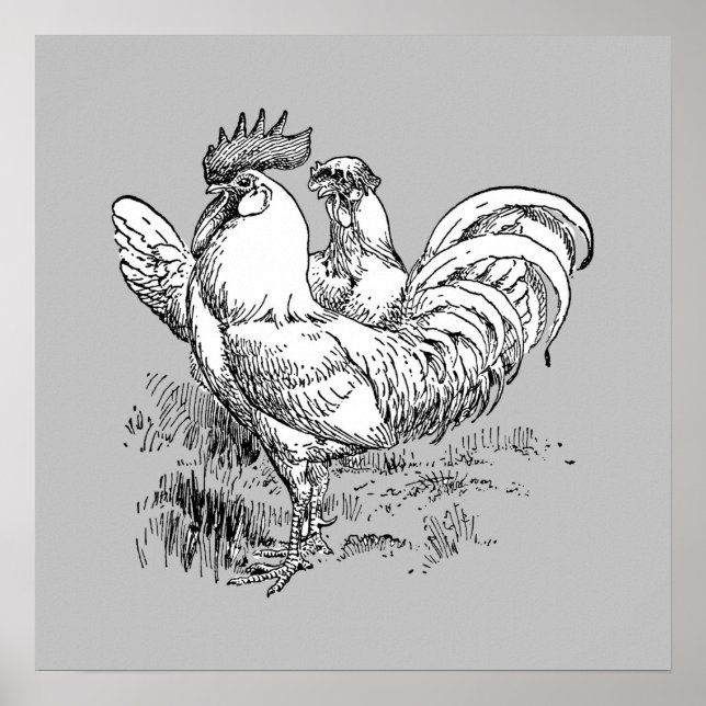 Galo E Hen - Impressão de Arquivamento (Frente)