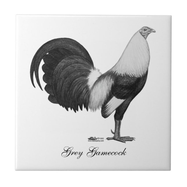 Galo Galo Grey Duckwing (Frente)