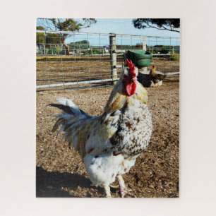 Galo Manchado Na Fazenda, Quebra-Cabeça