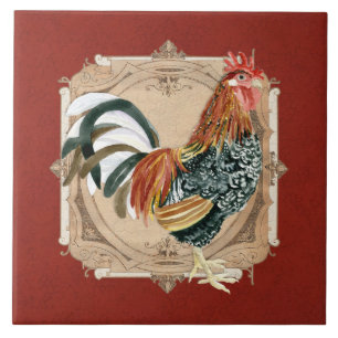 Galo rústico do celeiro do país francês do esti