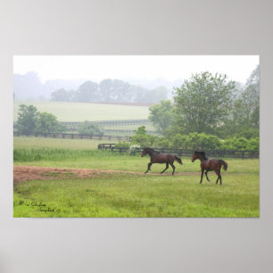 Galoping Cavalos-Padrão Poster