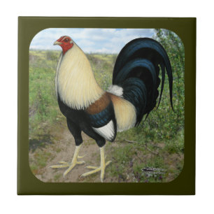 Gamecock da estrada secundária
