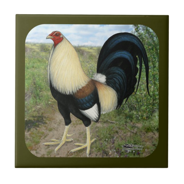 Gamecock da estrada secundária (Frente)