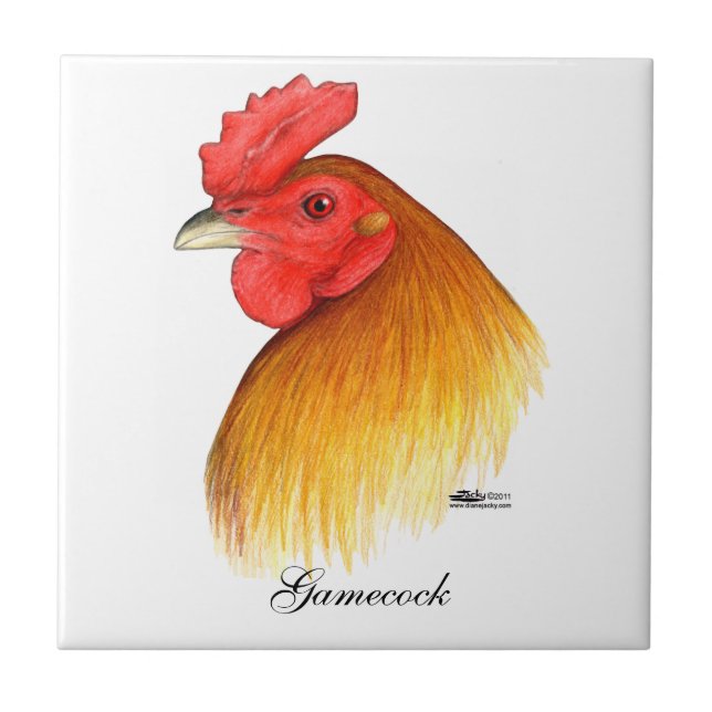 Gamecock Stag Pea Comb (Frente)