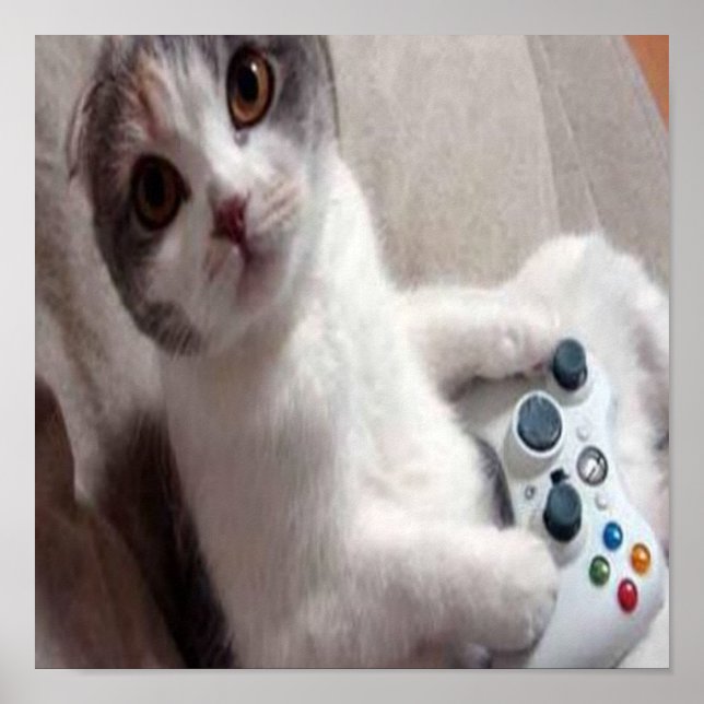 Gaming Cat - poster (Frente)