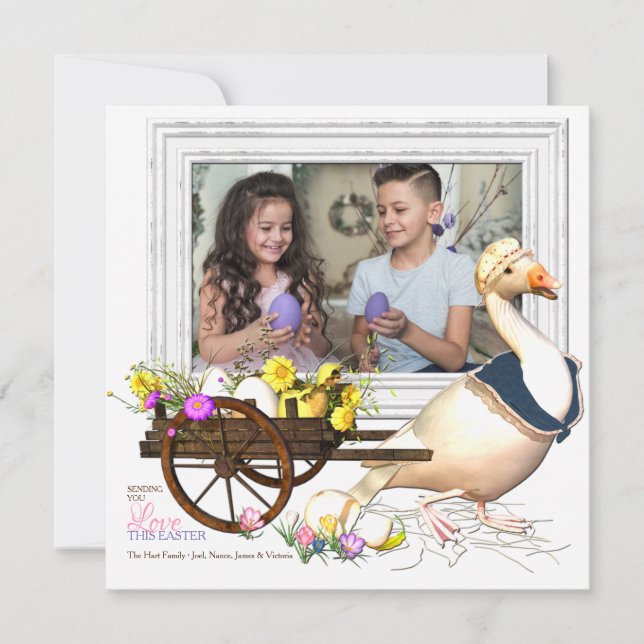 Ganso com o cartão de páscoa da foto dos ovos (Frente)