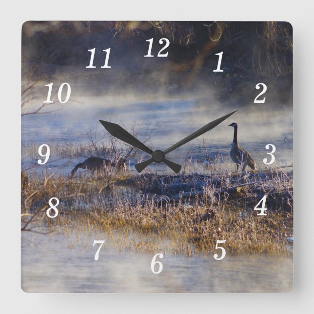 Gansos Falando Um Relógio De Muro De Quebra (Frente)