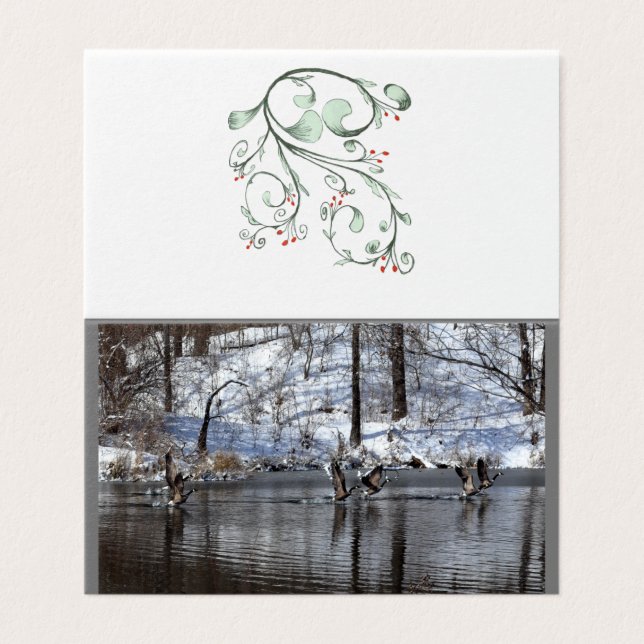 Gansos Levantando Água (Exterior Desdobrado)