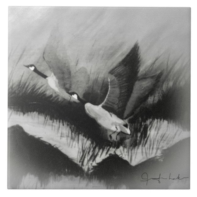 Gansos na Mist (Frente)