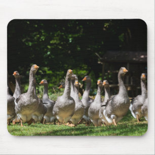 Gansos no mousepad de Dordogne