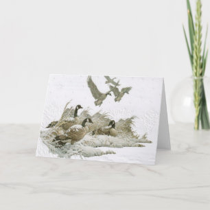 Gansos Selvagens Em Cartão De Natal De Neve (Vazio