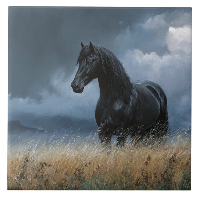 Garanhão Frísio Preto Paisagem Dramática (Frente)