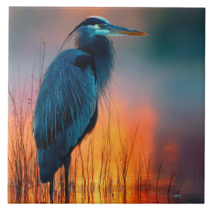 Garça Azul ao Nascer do Sol