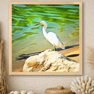 Garça No Rio Mismaloya 0335 Impressão de Arte