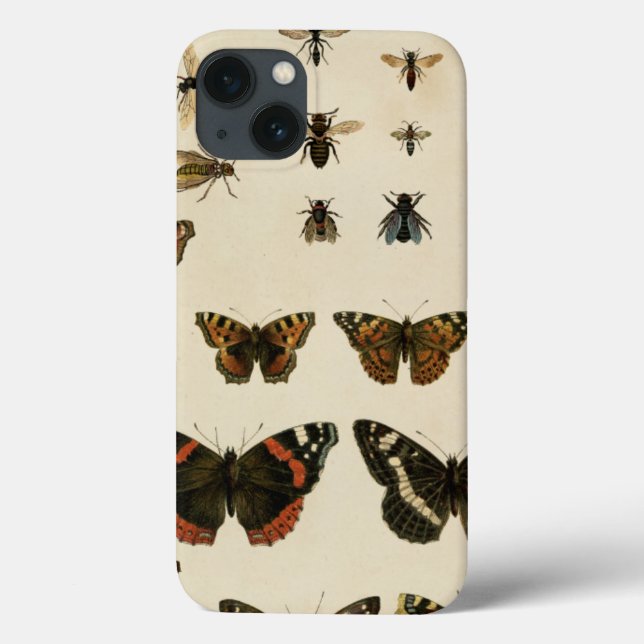 Garden Insects by Vision Studio (Verso)