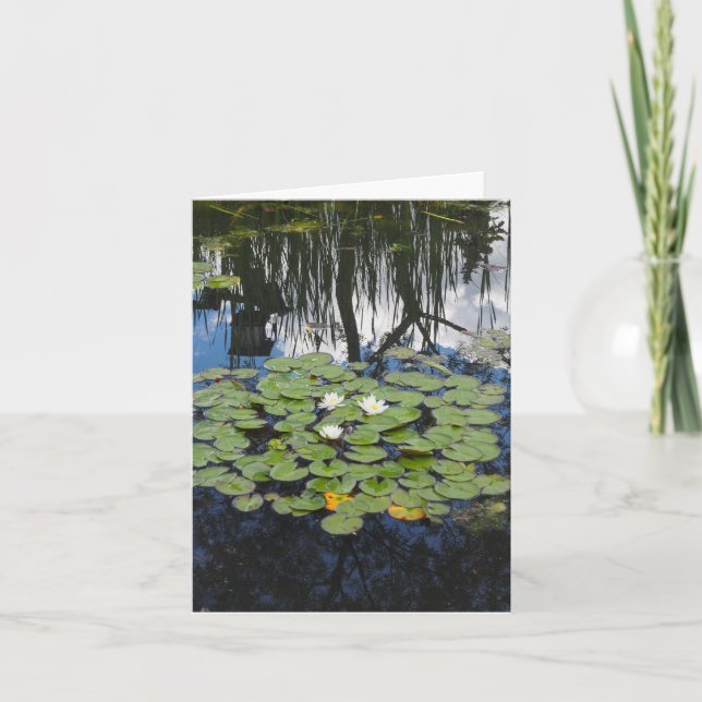 Garden Park Refletindo Lírios Dobrados Cartão de S (Frente)