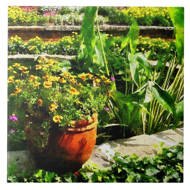 Garden Pond (Frente)