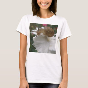 Garden Snail e Craveiro Branco Damas de Camisa