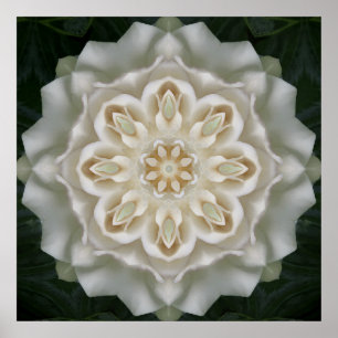 Gardenia Interior Glow Mandala Poster Impressão
