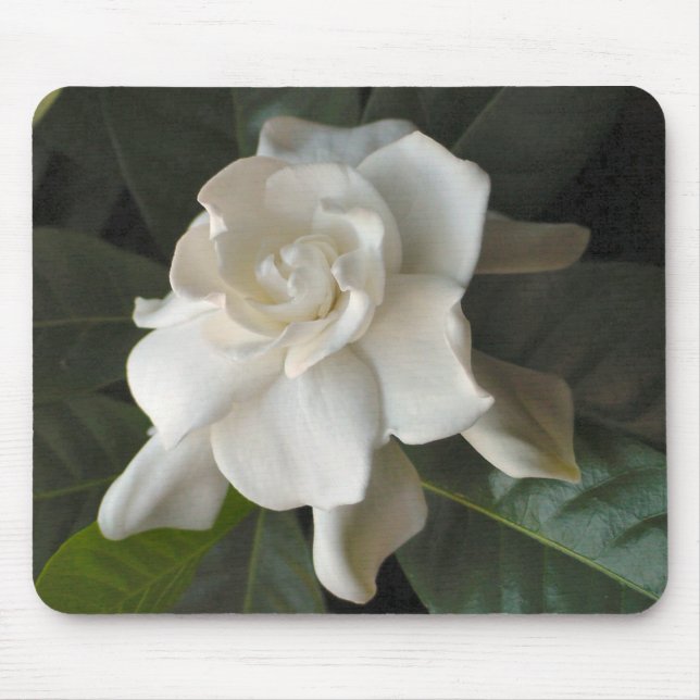 Gardenia Mousepad (Frente)