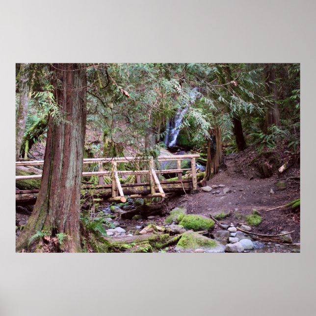 Garfo de Carvão Cai na Ponte Impressão (Frente)