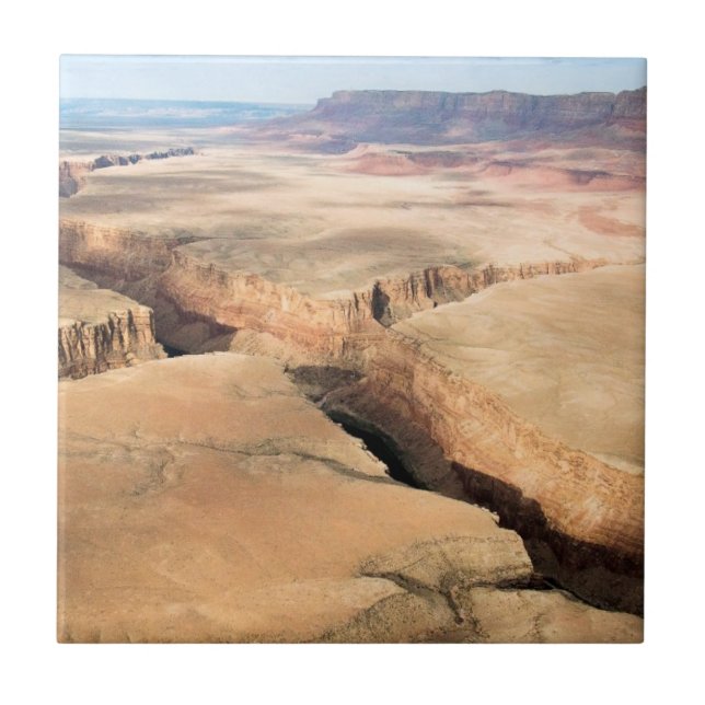 Garganta na garganta (Frente)