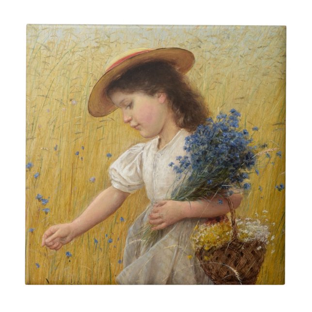 Garota jovem em um campo de trigo (Frente)