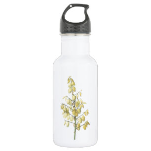 Garrafa Adaga espanhola (Yucca gloriosa) por Redouté