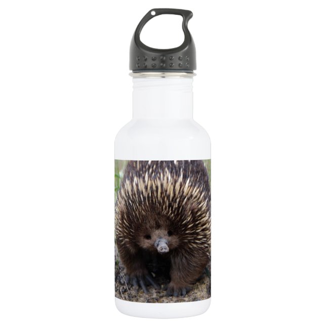 Garrafa Adorável Echidna Australiana (Frente)