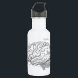 Garrafa Anatomia do cérebro do vintage<br><div class="desc">Anatomia do cérebro do vintage</div>