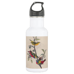 Garrafa Animais Selvagens de Aves Pintadas com Audubon