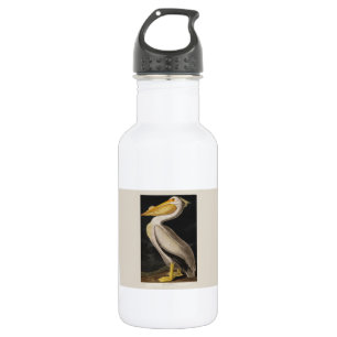 Garrafa Antigo Pelicano Branco de John James Audubon Coste