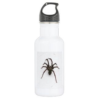 Garrafa Aranha assustadora