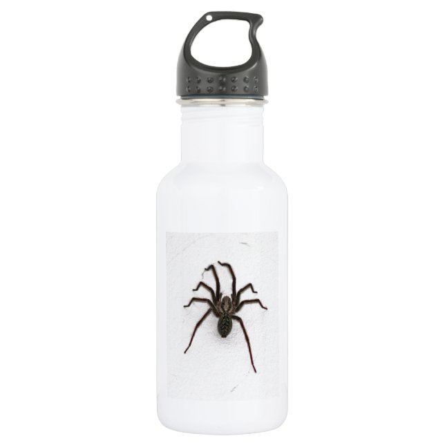 Garrafa Aranha assustadora (Frente)
