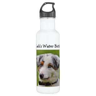 Garrafa Armazene a água para seu cão nesta personalizado
