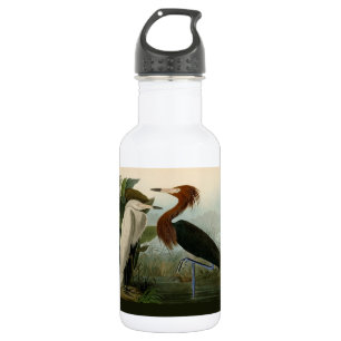 Garrafa Arte de Pássaro: Gravura do Garça Roxa de Audubon: